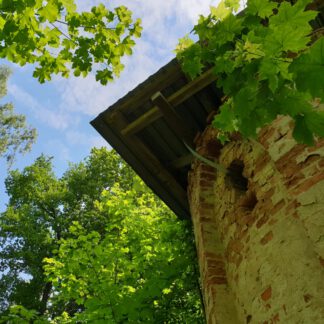 Wanderung im Tiergarten