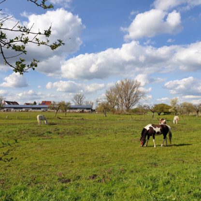 Wanderung Zierker See